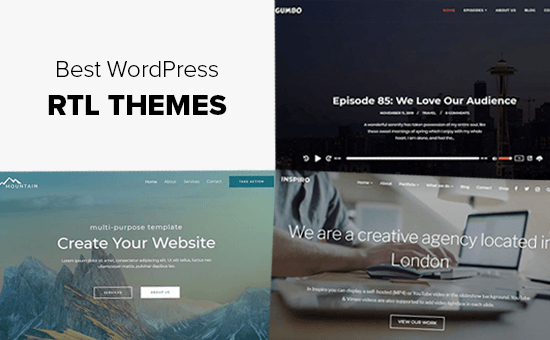 Best RTL WordPress Themes (Right to Left Language Support)