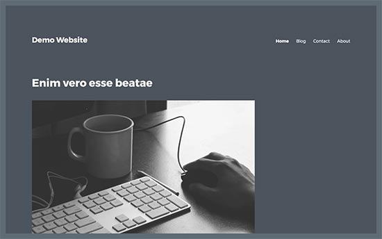 Blank sidebar area in a WordPress theme