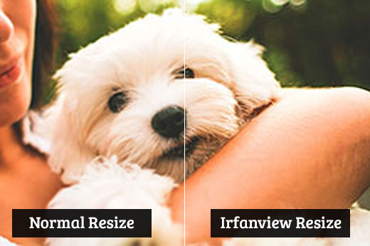 Comparing normal resize vs irfanview resize