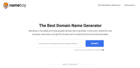 Nameboy domain generator tool