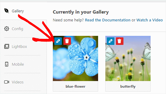 Click the Edit button to edit an image in your gallery