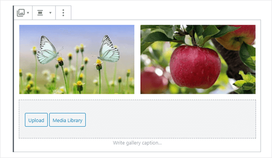 Dwa zdjęcia w galerii (motyle i jabłko)