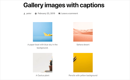 Classic editor gallery images with captions