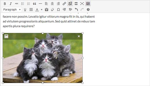 Resize and edit an image right inside the post editor