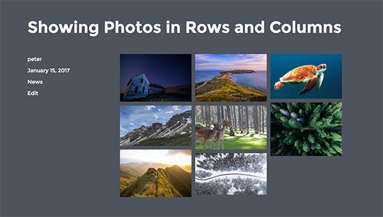 photos in columns and rows