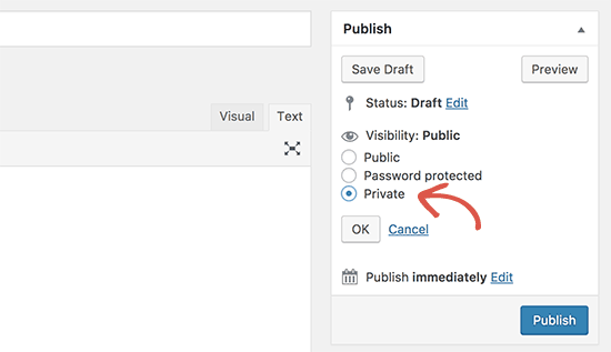 Private post option in WordPress post edit screen