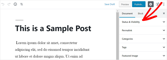 Status and Visibility Option in WordPress Post Editor