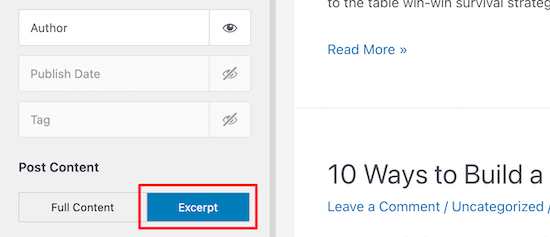 Turn on post excerpt option