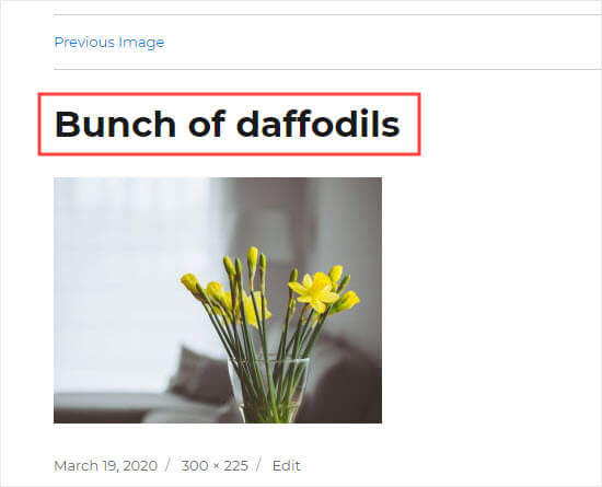 Viewing the image's attachment page, with the image title shown