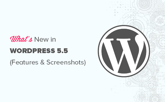 Funkcje i zrzuty ekranu WordPress 5.5