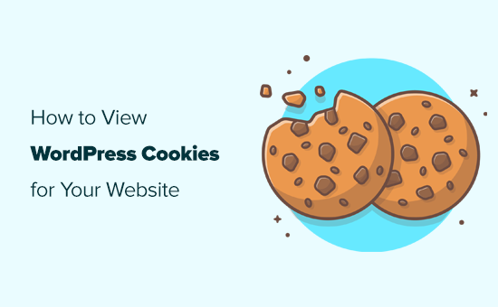 Jak sprawdzić, które Pliki cookie są ustawiane przez witrynę WordPress