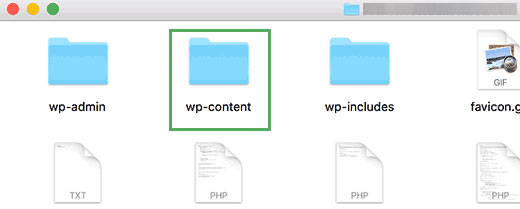 wp-content folder in the root directory of a WordPress site