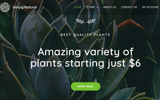 Astra WordPress Theme Astra WordPress Theme