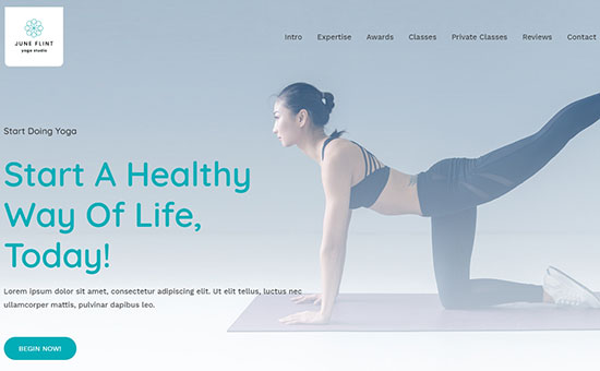 Astra Yoga