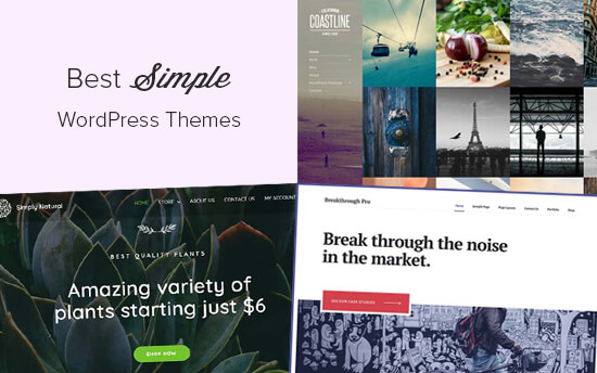 Best simple WordPress themes Best Simple WordPress Themes