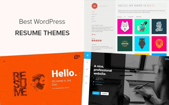 Best WordPress resume themes for online CV Best WordPress resume themes for online CV