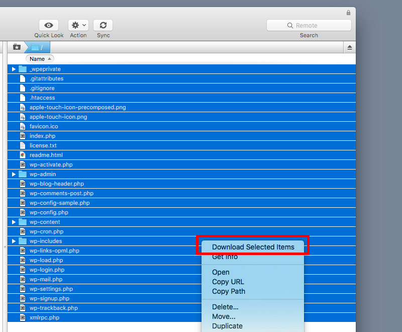 copy-files-sftp SFTP Copy & Download Files