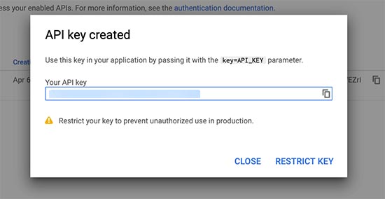 Copy browser api key