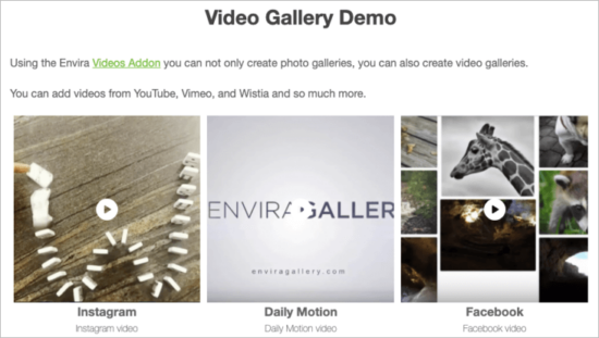 Envira Gallery Envira Gallery