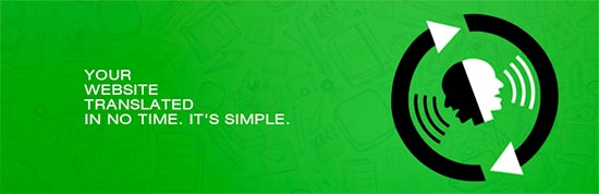 Google Website Translator