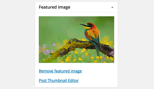 Launch post thumbnail editor from the post editor screen