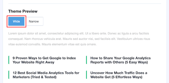 MonsterInsights display options