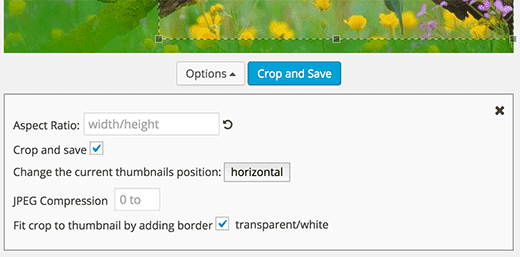 additional options for thumbnail editor