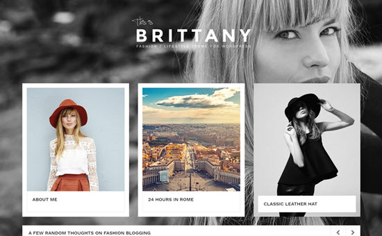 Brittany The Brittany