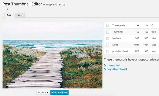 Editing thumbnails for an older image