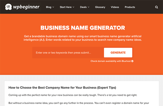 WPBeginner Business Name Generator