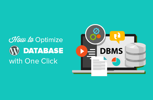 How to optimize WordPress database
