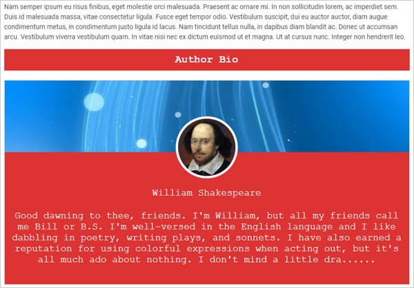 About Author author box plugin example.
