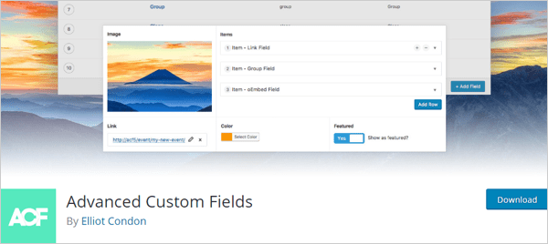 Advanced Custom Fields WordPress Plugin