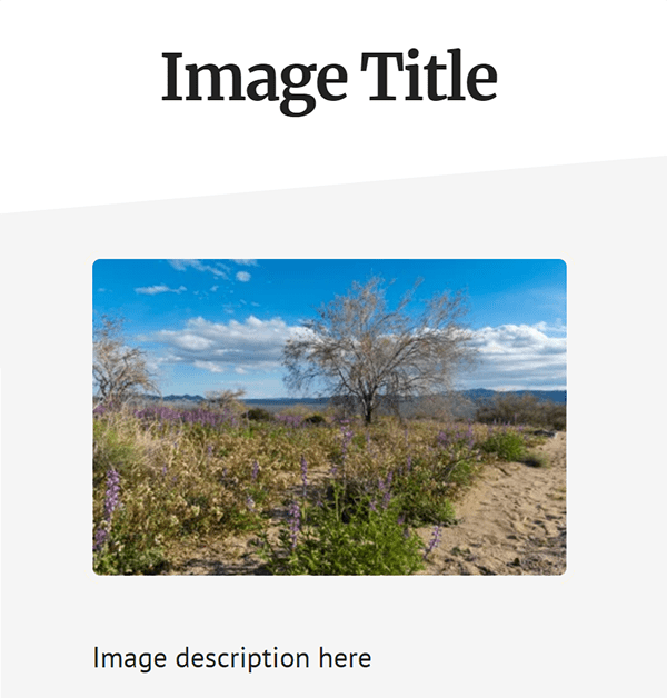 screenshot of WordPress attachment page with image title, image and image description