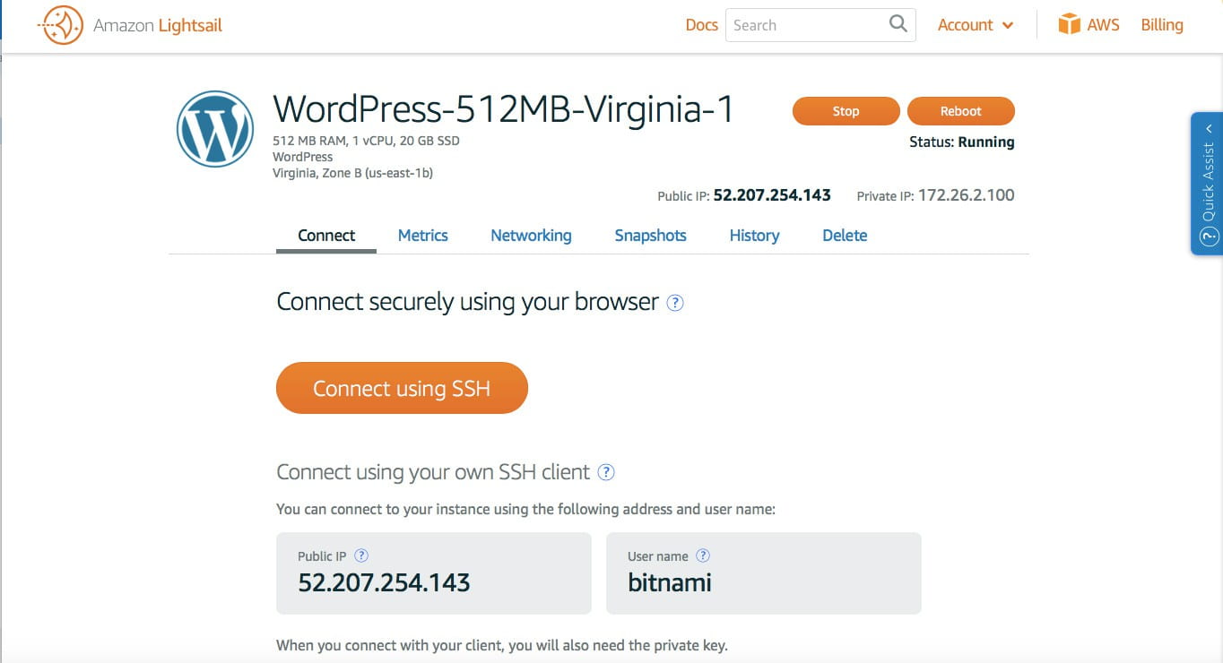 aws_wordpress_lightsail_instance AWS WordPress LightSail Instance.