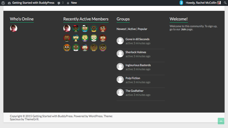 Installing BUddyPress - footer widgets showing test data