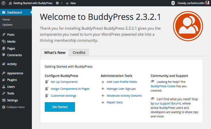 BuddyPress dashboard welcome screen