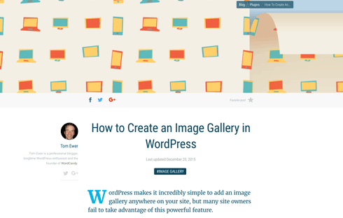 Add an image gallery to your website with this guide.