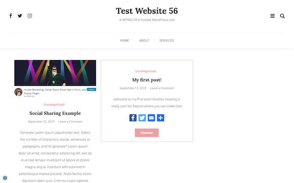 A look at the live test site using this theme