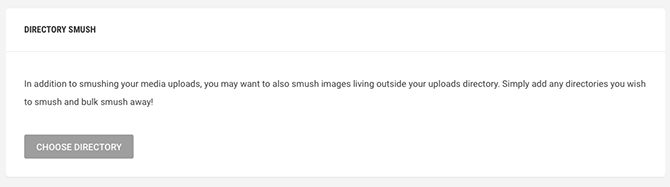 Director smush setup