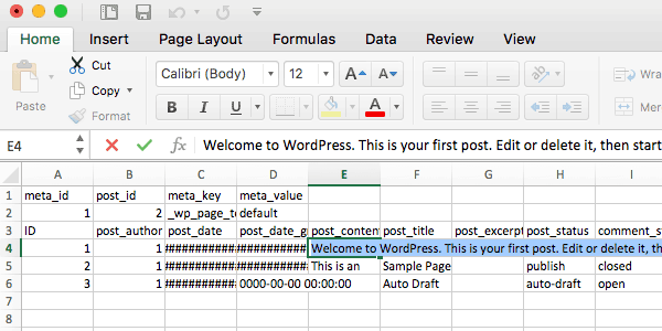 The CSV file in Excel