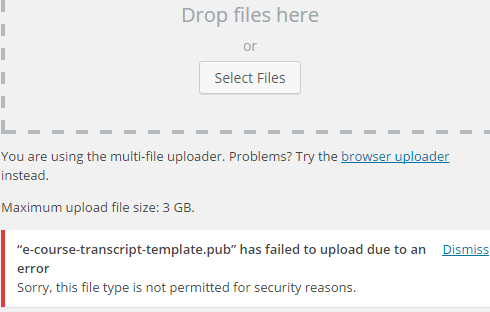 file-type-not-permitted Error message in WordPress: File type not permitted.