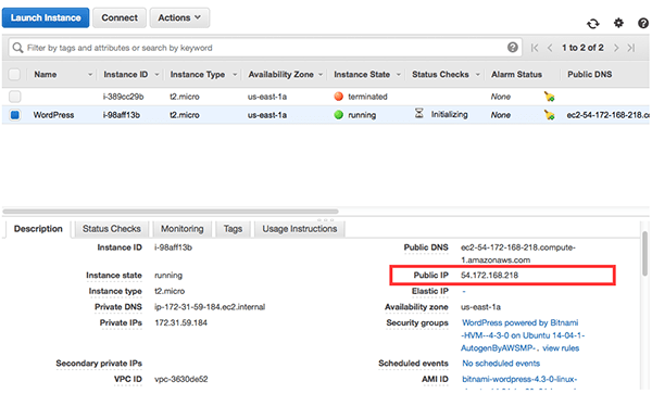 find-public-ip-of-your-wordpress-website-instance