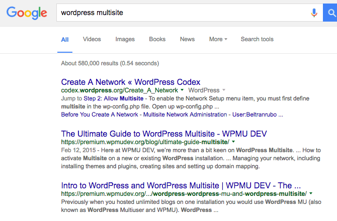 Our Ultimate Guide to WordPress Multisite ranks second on Google search behind WordPress.org's Codex entry for Multisite.