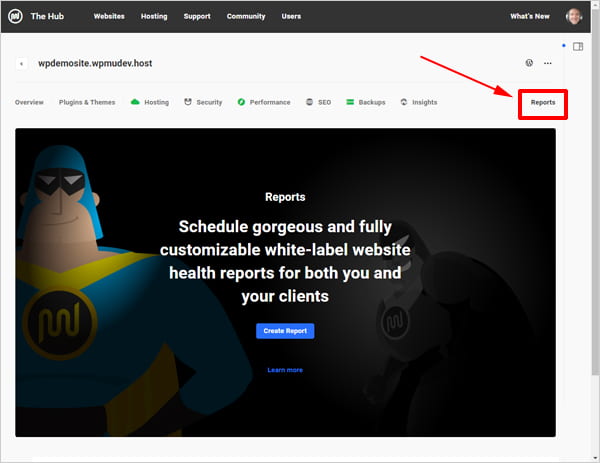 Reports startup screen.