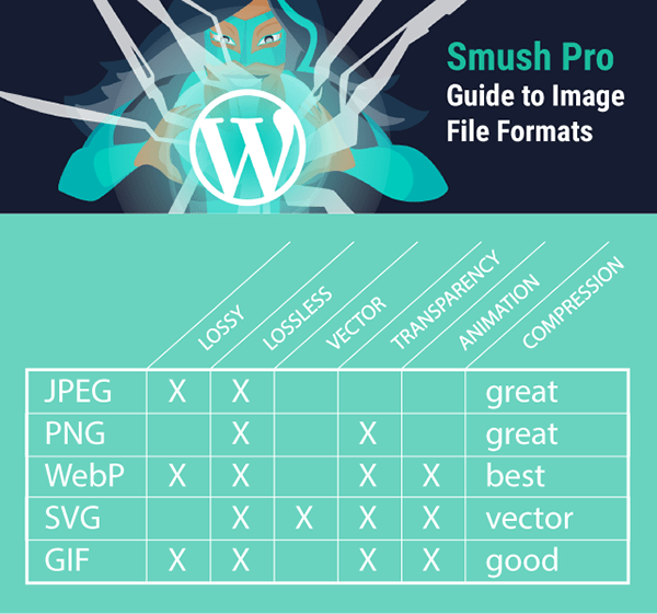 diagram summarizing capabilities for JPEG, SVG, PNG, WebP and GIF.
