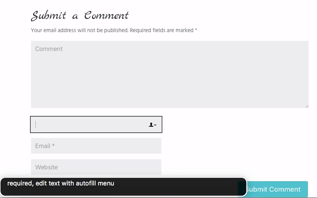 The Inspirez theme comment form name field. VoiceOver reads ‘required, edit text with autofill menu'.