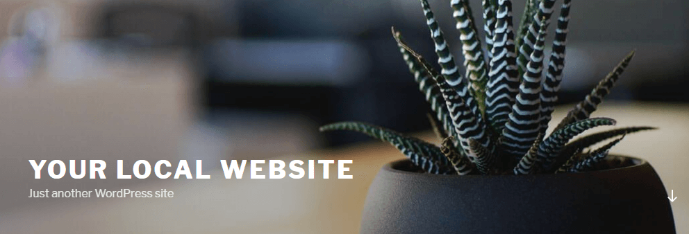 Local WordPress Installation