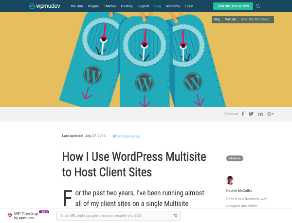 wpmu dev guide to hosting client sites with WordPress Multisite