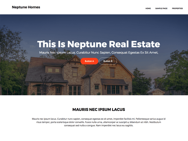 Neptune Real Estate is another great theme